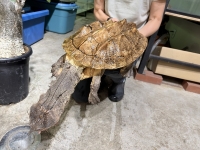 クリックで拡大画像表示