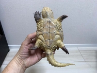 クリックで拡大画像表示