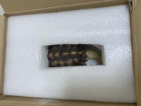 クリックで拡大画像表示