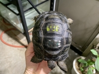 クリックで拡大画像表示