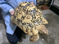 クリックで拡大画像表示