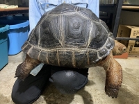 クリックで拡大画像表示