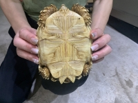 クリックで拡大画像表示