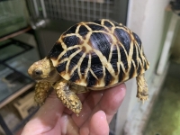 クリックで拡大画像表示