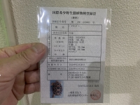 クリックで拡大画像表示