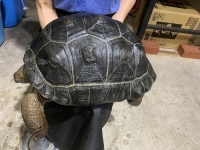 クリックで拡大画像表示