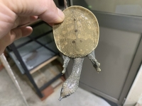 クリックで拡大画像表示