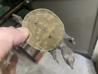 クリックで拡大画像表示