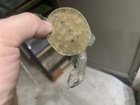 クリックで拡大画像表示