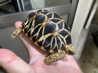 クリックで拡大画像表示