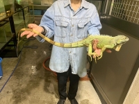 クリックで拡大画像表示