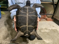 クリックで拡大画像表示