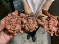 クリックで拡大画像表示