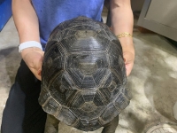 クリックで拡大画像表示