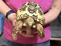 クリックで拡大画像表示