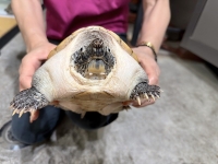 クリックで拡大画像表示