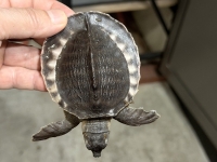 クリックで拡大画像表示