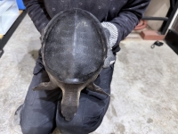 クリックで拡大画像表示