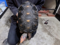 クリックで拡大画像表示