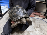 クリックで拡大画像表示