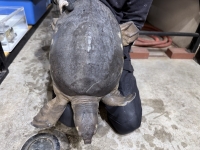 クリックで拡大画像表示