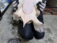 クリックで拡大画像表示