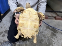 クリックで拡大画像表示