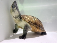 クリックで拡大画像表示