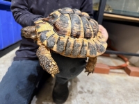 クリックで拡大画像表示