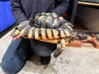 クリックで拡大画像表示