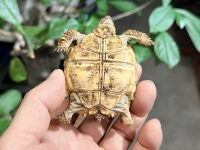 クリックで拡大画像表示