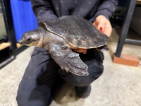 クリックで拡大画像表示