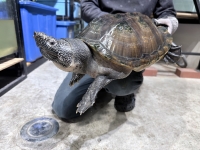 クリックで拡大画像表示