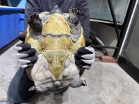 クリックで拡大画像表示