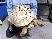 クリックで拡大画像表示