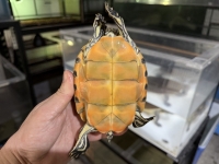 クリックで拡大画像表示