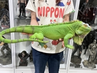 クリックで拡大画像表示