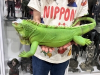 クリックで拡大画像表示