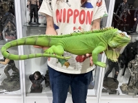 クリックで拡大画像表示