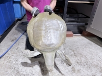 クリックで拡大画像表示