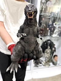 クリックで拡大画像表示