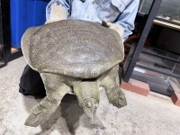 クリックで拡大画像表示