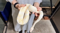 クリックで拡大画像表示