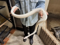 クリックで拡大画像表示
